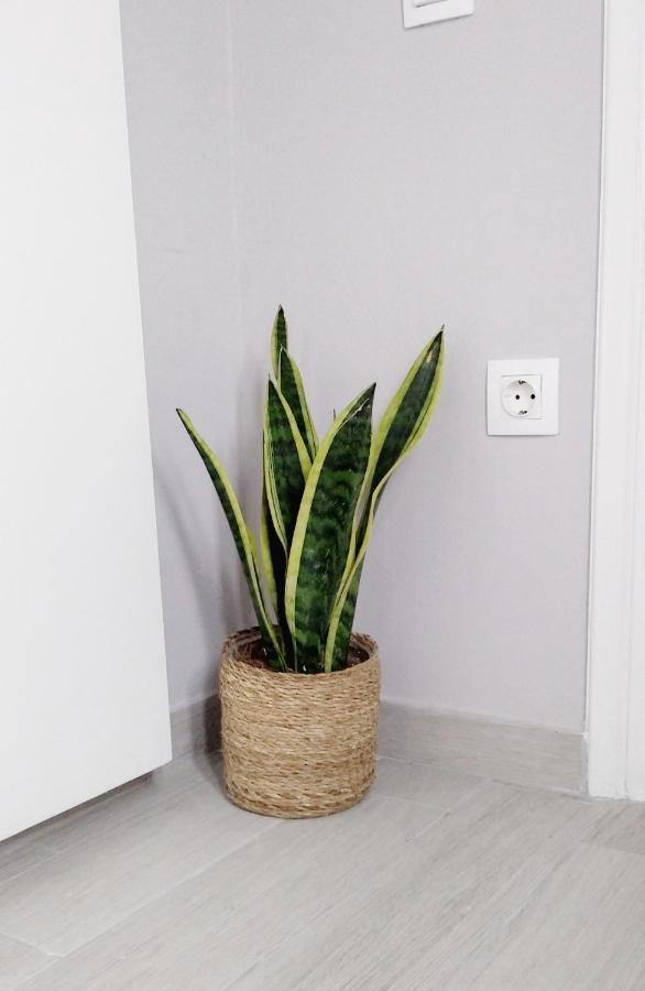Elizabeth's Paradise Apartment *