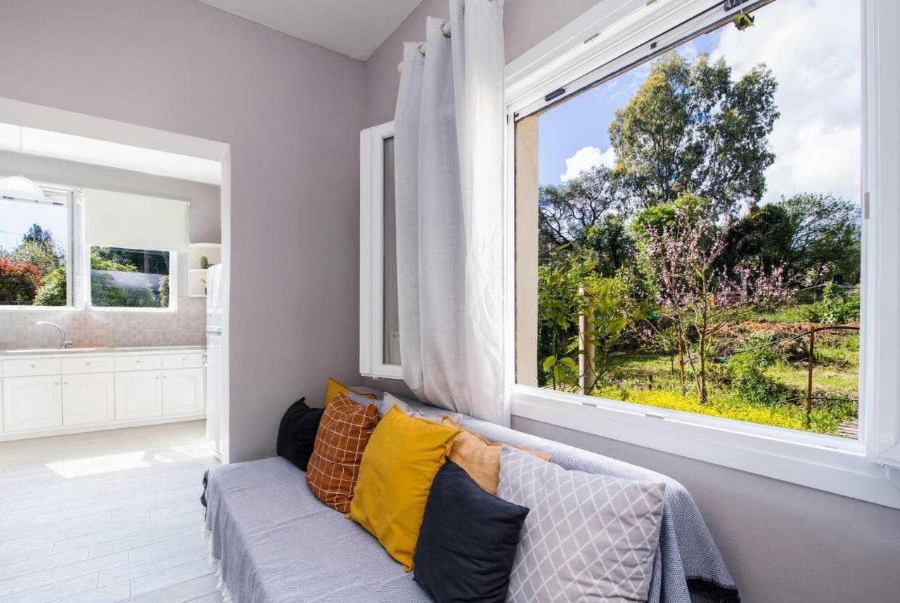 Elizabeth's Paradise Apartment